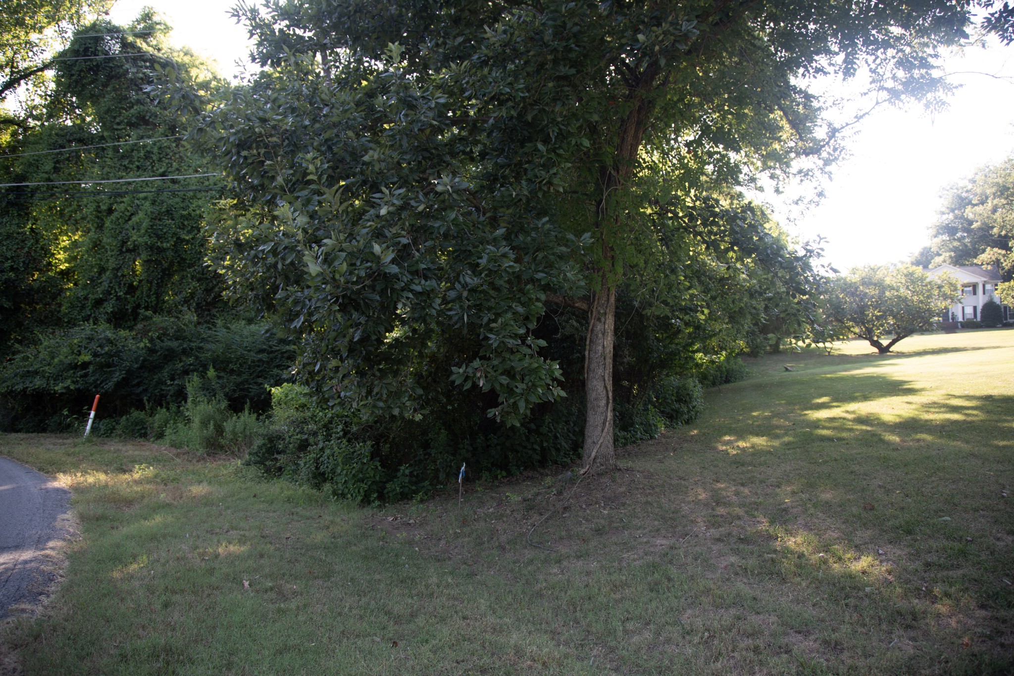 584 Cumberland Hills Dr
