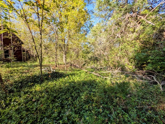 378 LADD SPRINGS RD SE, CLEVELAND, TN 37323 - Image acecb6b7dc9fd69bbc229aee0e2c7cdc/2310776682