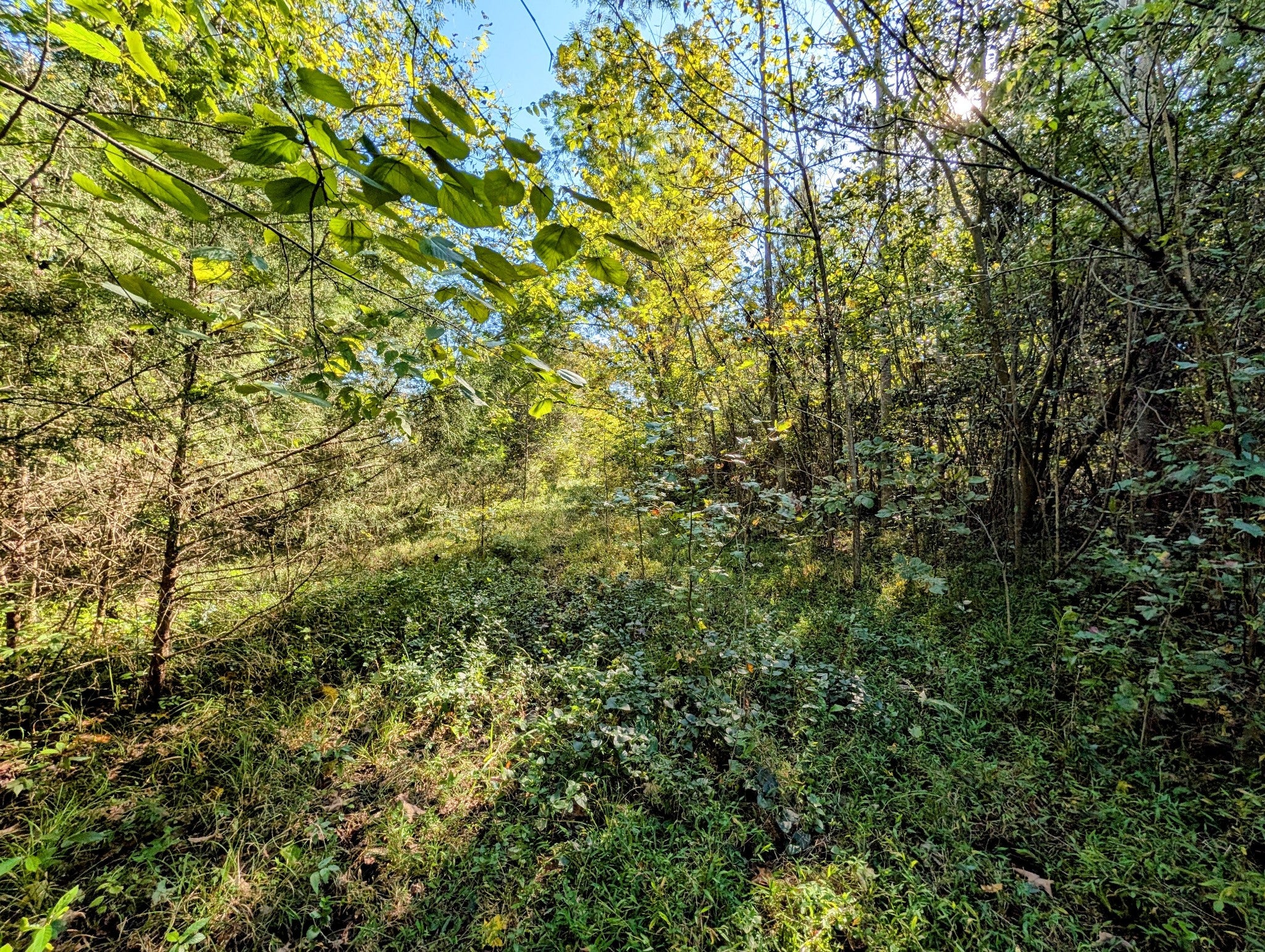 378 Ladd Springs Rd SE