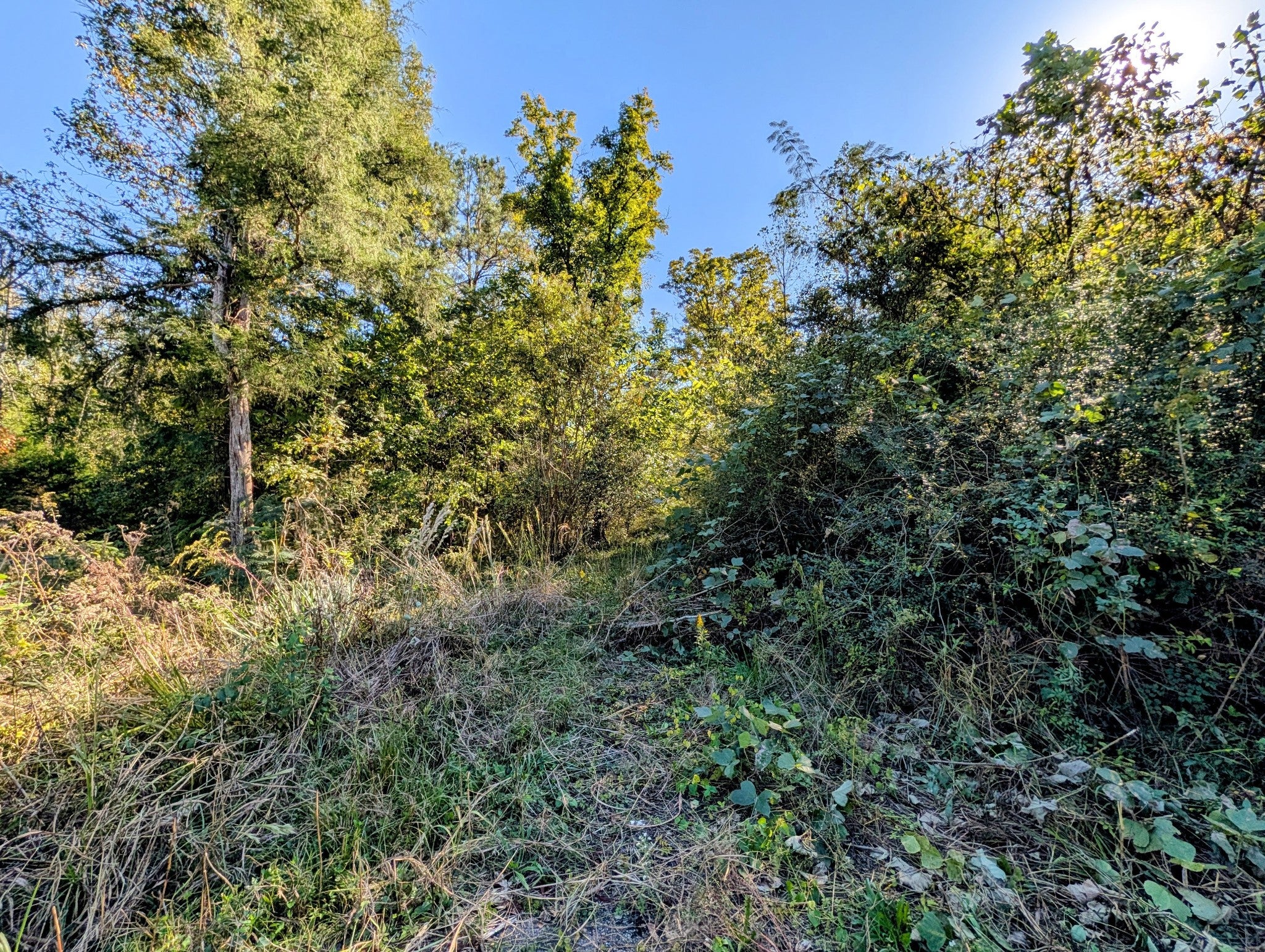 378 Ladd Springs Rd SE