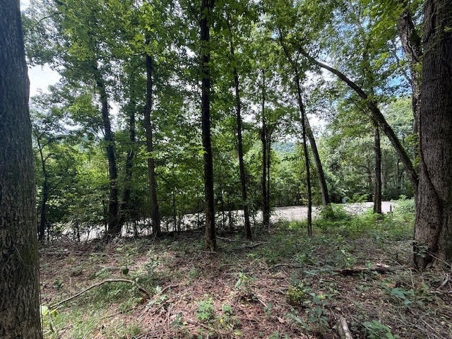 74 Williamson Cir