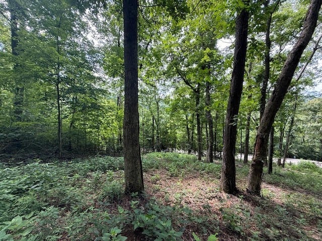 74 Williamson Cir