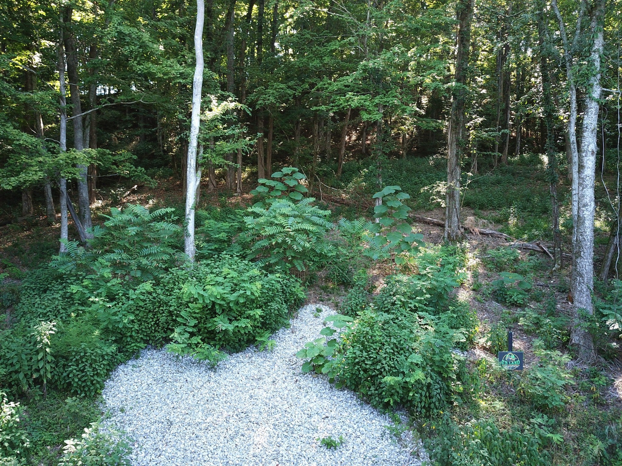 74 Williamson Cir