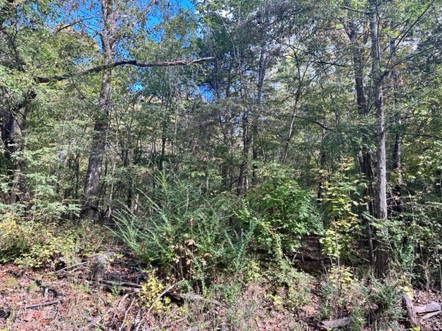 0 Bayview Dr Lot 160&161