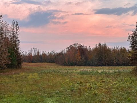 0 Hines Gin Road Selmer TN 38375