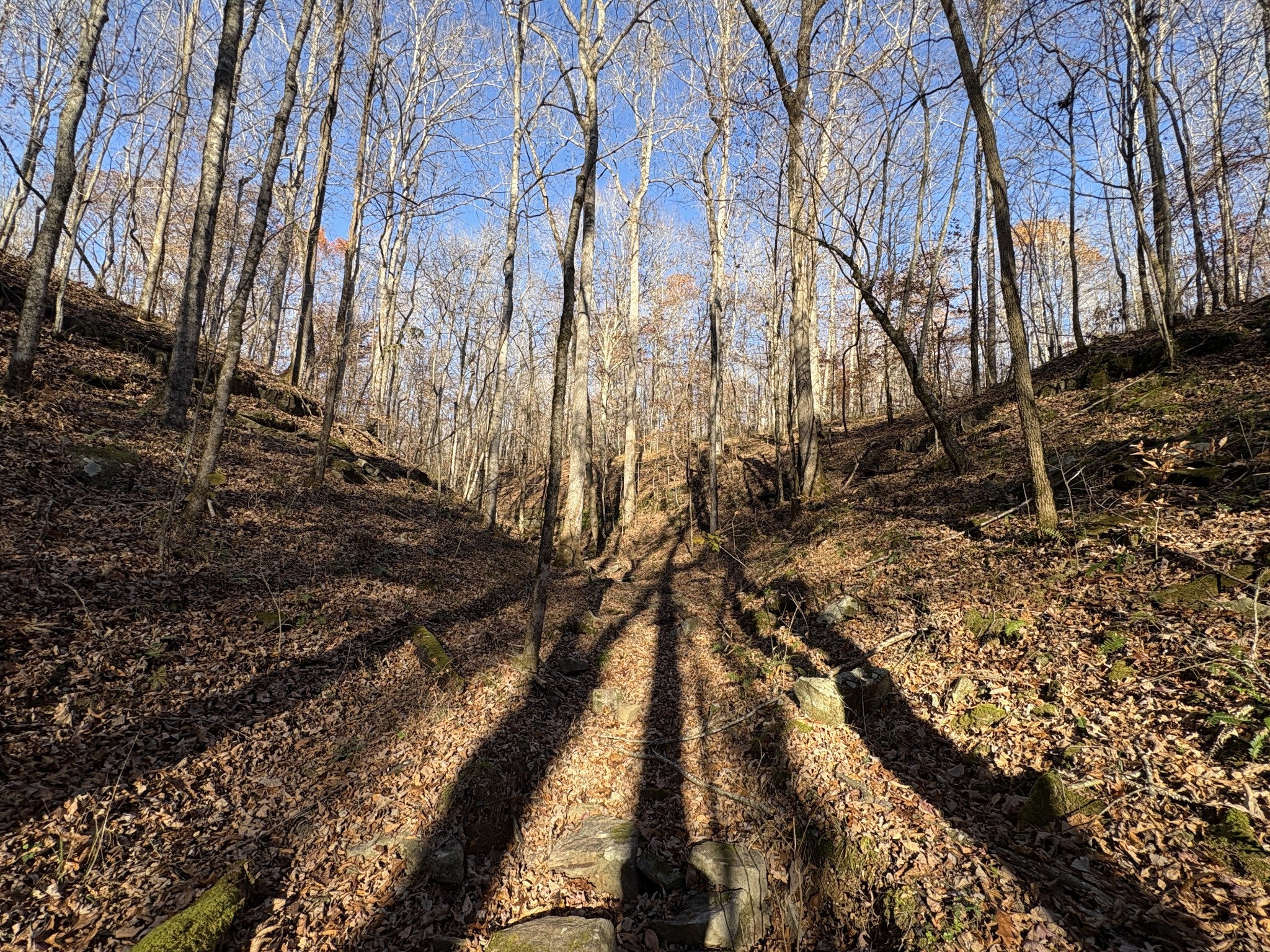 0 Pigpen Hollow Rd