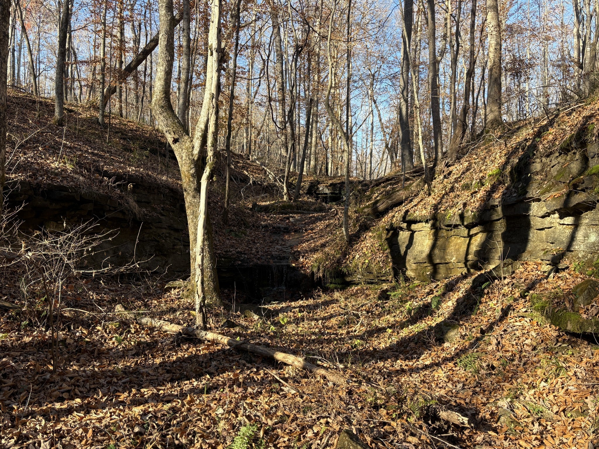 0 Pigpen Hollow Rd