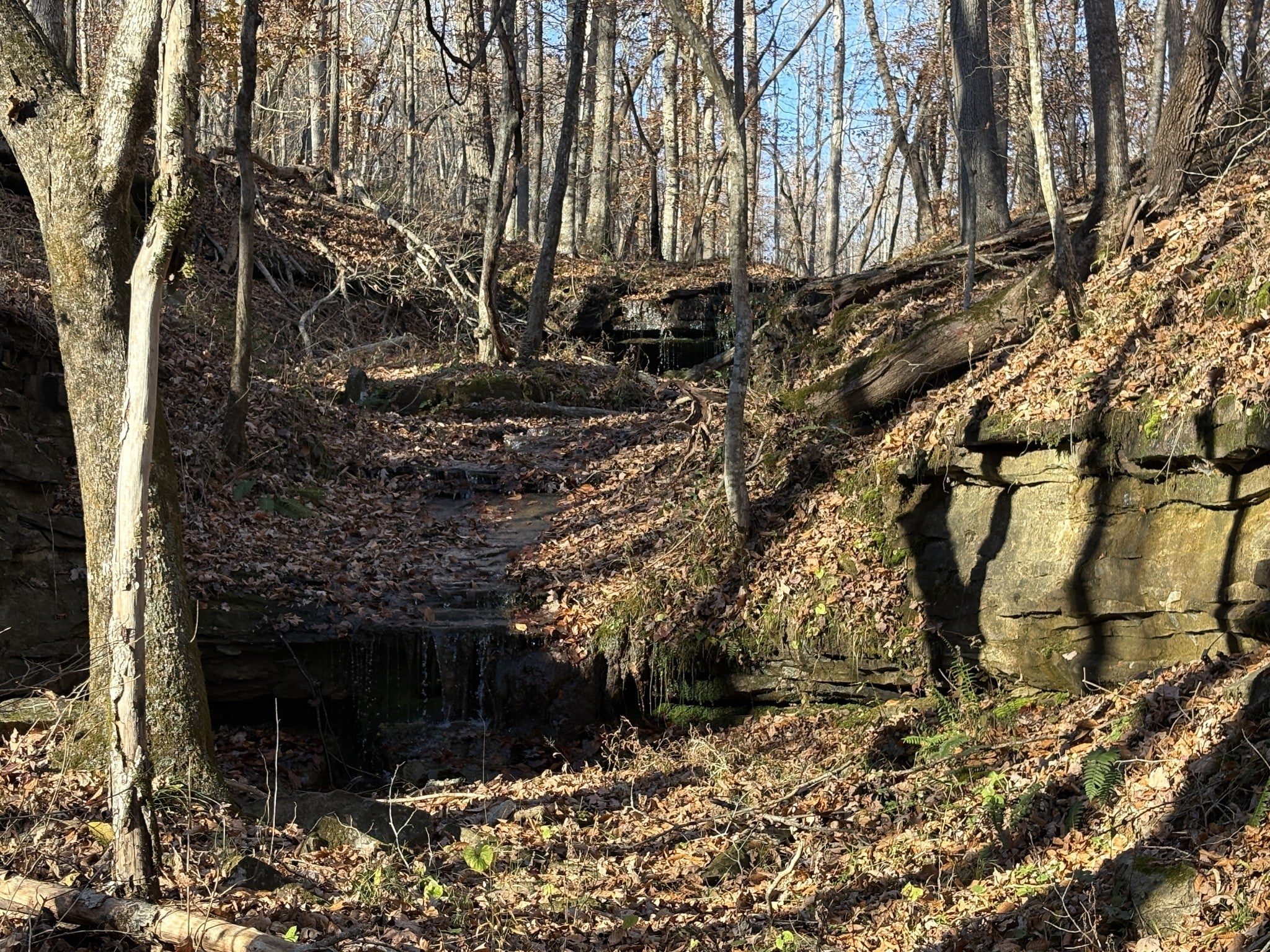 0 Pigpen Hollow Rd