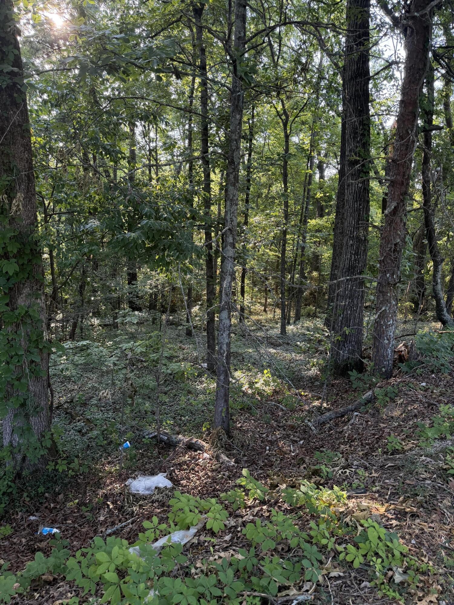 0 Birchwood Pike