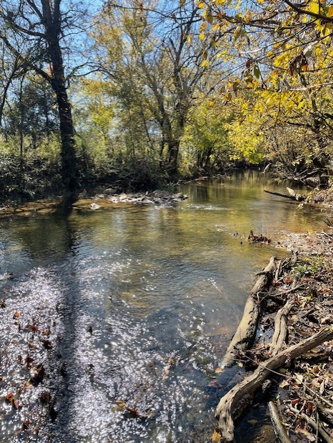 0 Old Nashville Dirt Rd