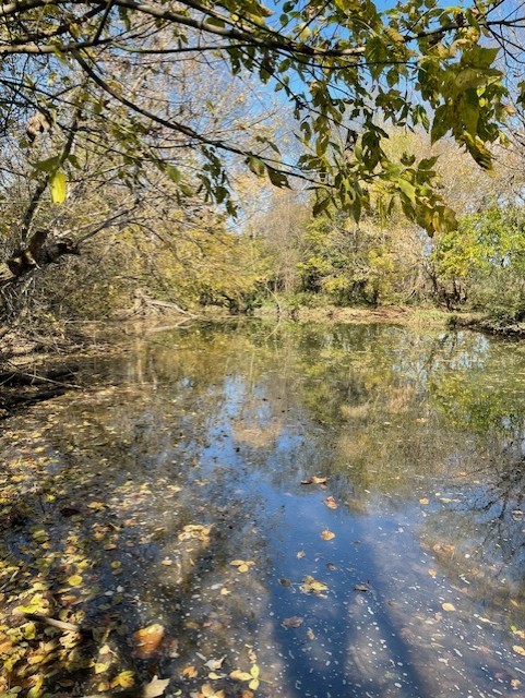 0 Old Nashville Dirt Rd