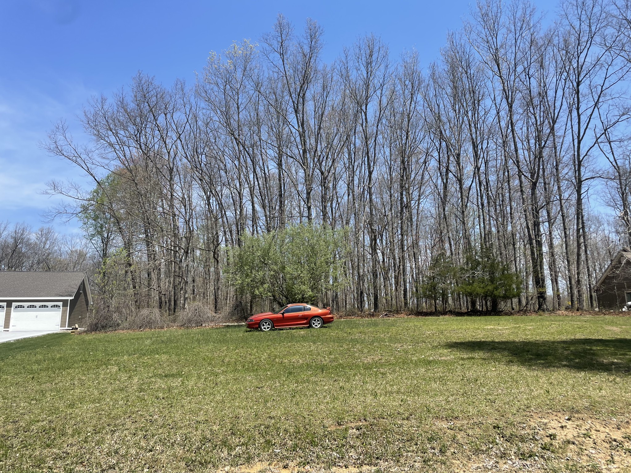 Listing image 8