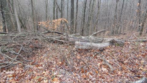 0 Savannah Drive Smithville TN 37166