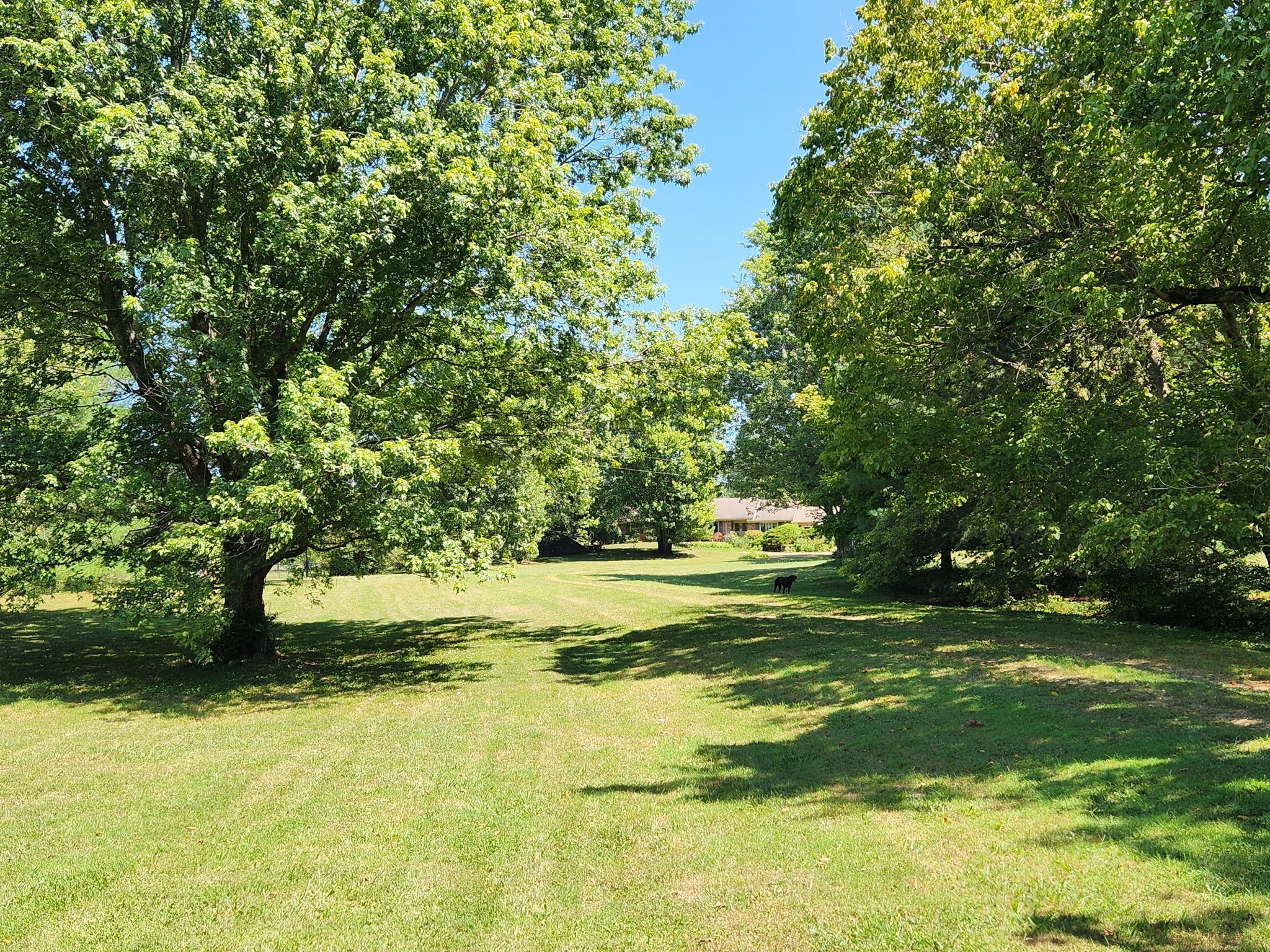 264 Puncheon Camp Rd