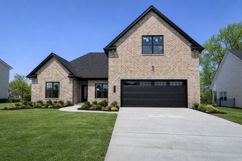 Photo of 708 Summerline Rd, Smyrna, TN 37167 (MLS # 3169997)