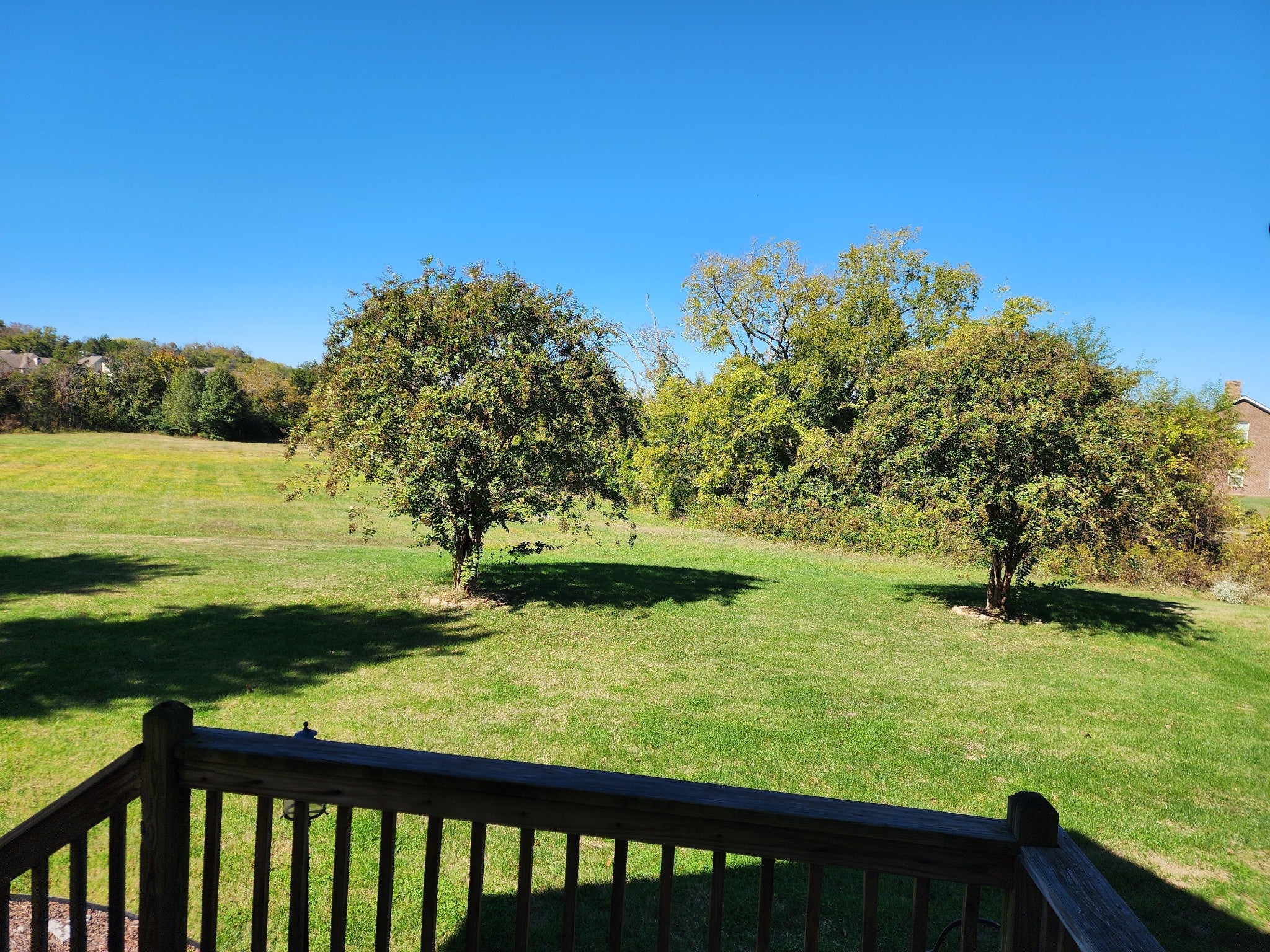 232 Dobson Branch Ct