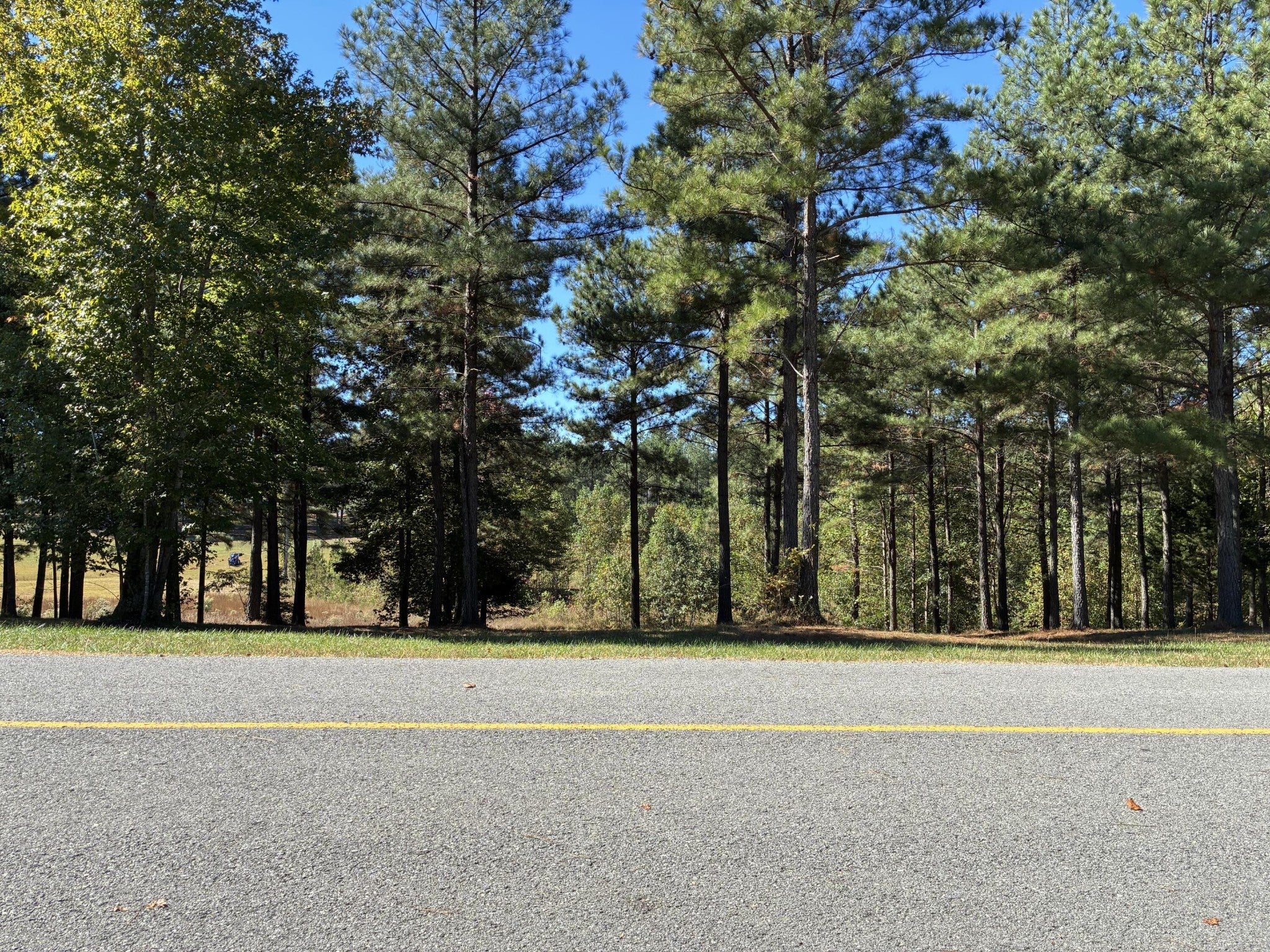 241 Pappy Road