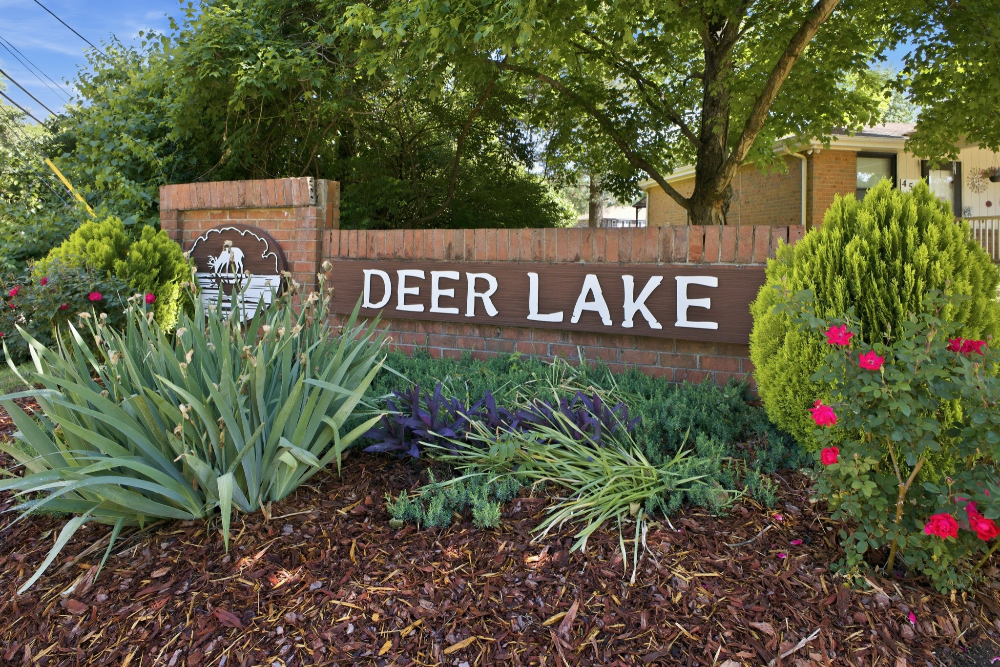 413 Deer Lake Dr