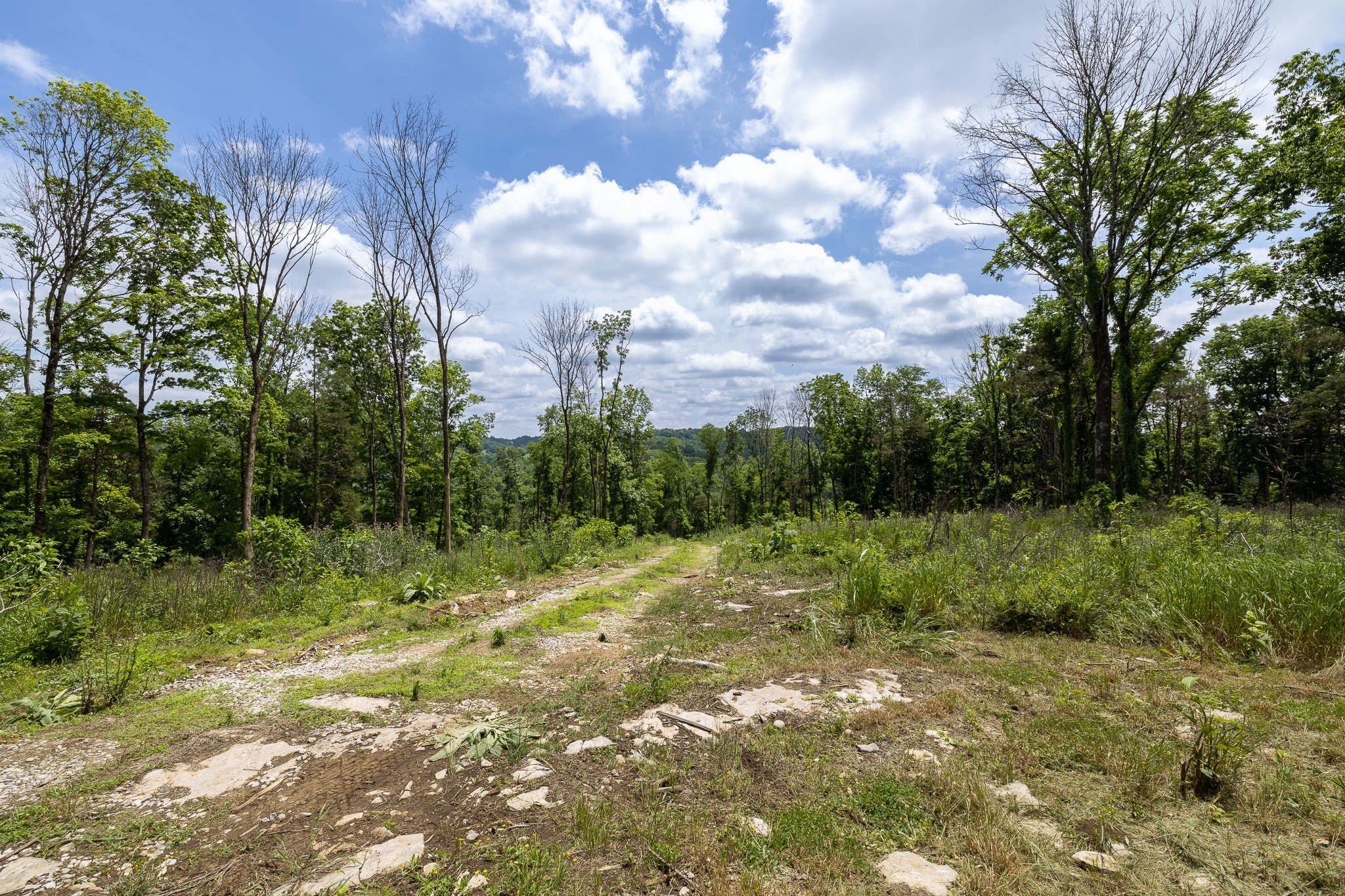 0 Goose Branch Rd