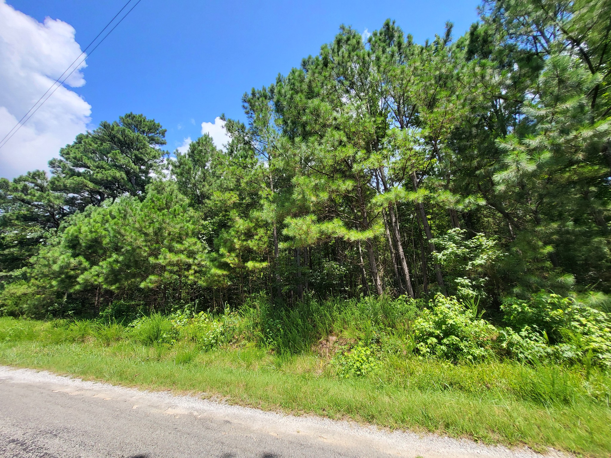 3 Chestnut Hill Rd