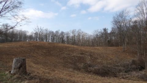 50 Earl Watson Rd, Burkesville, KY 42717 - MLS#: 2770416