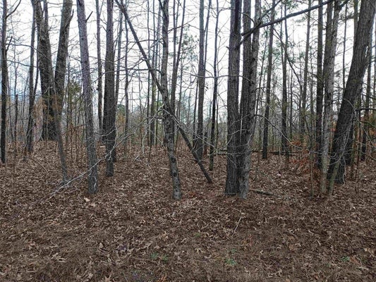 HIGHWAY 18, MEDON, TN 38356 - Image ae45de527c03b2d5bebfb1070cb745da/845009595
