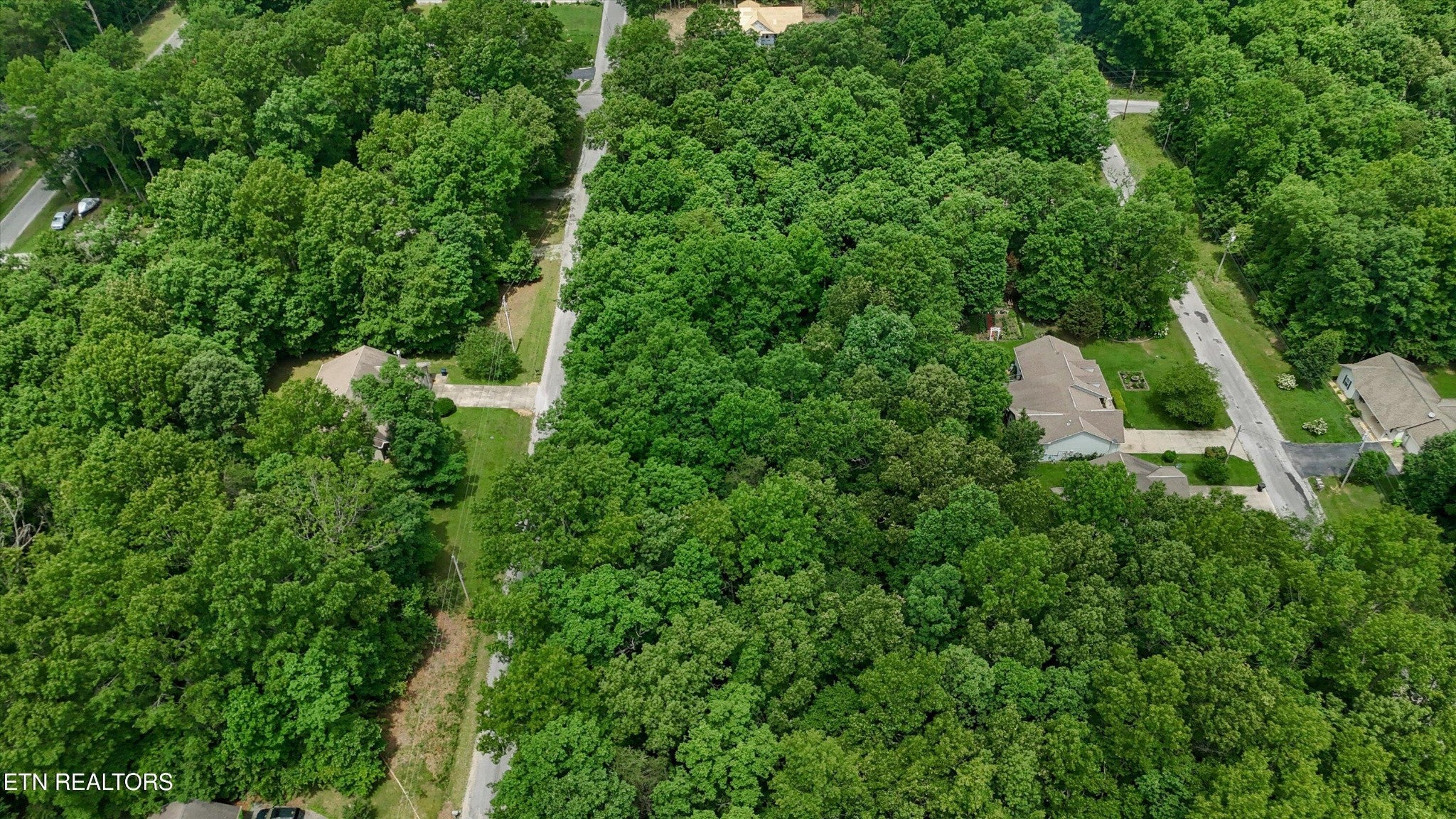 2109 Black Wolf Drive