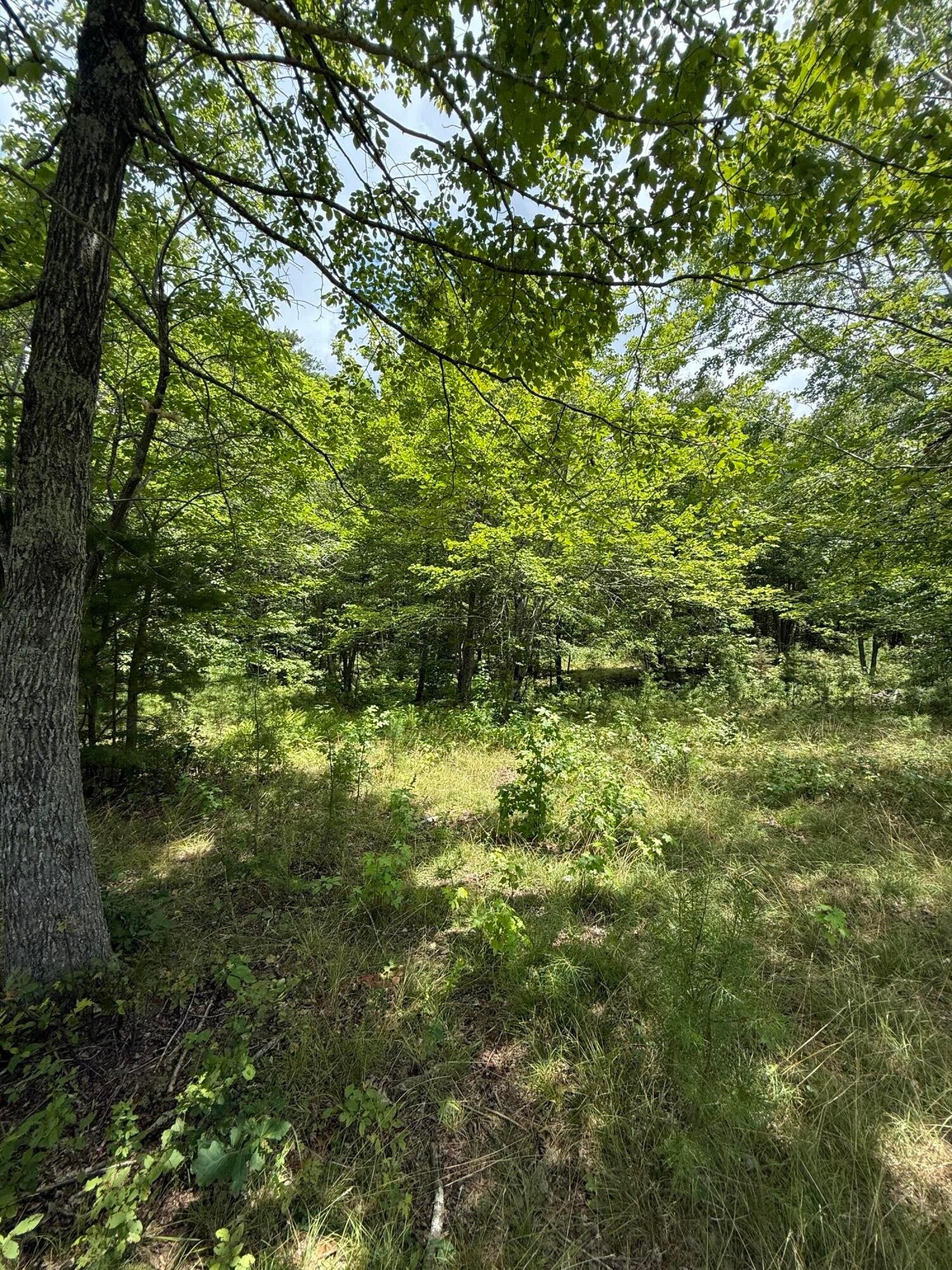 6 Greenfields Way N