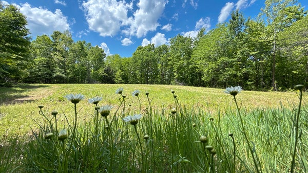 1 HIGHWAY 100 W, CENTERVILLE, TN 37033 - Image aea459bd387c4bfe25b7e69acb799c0a/2776524965