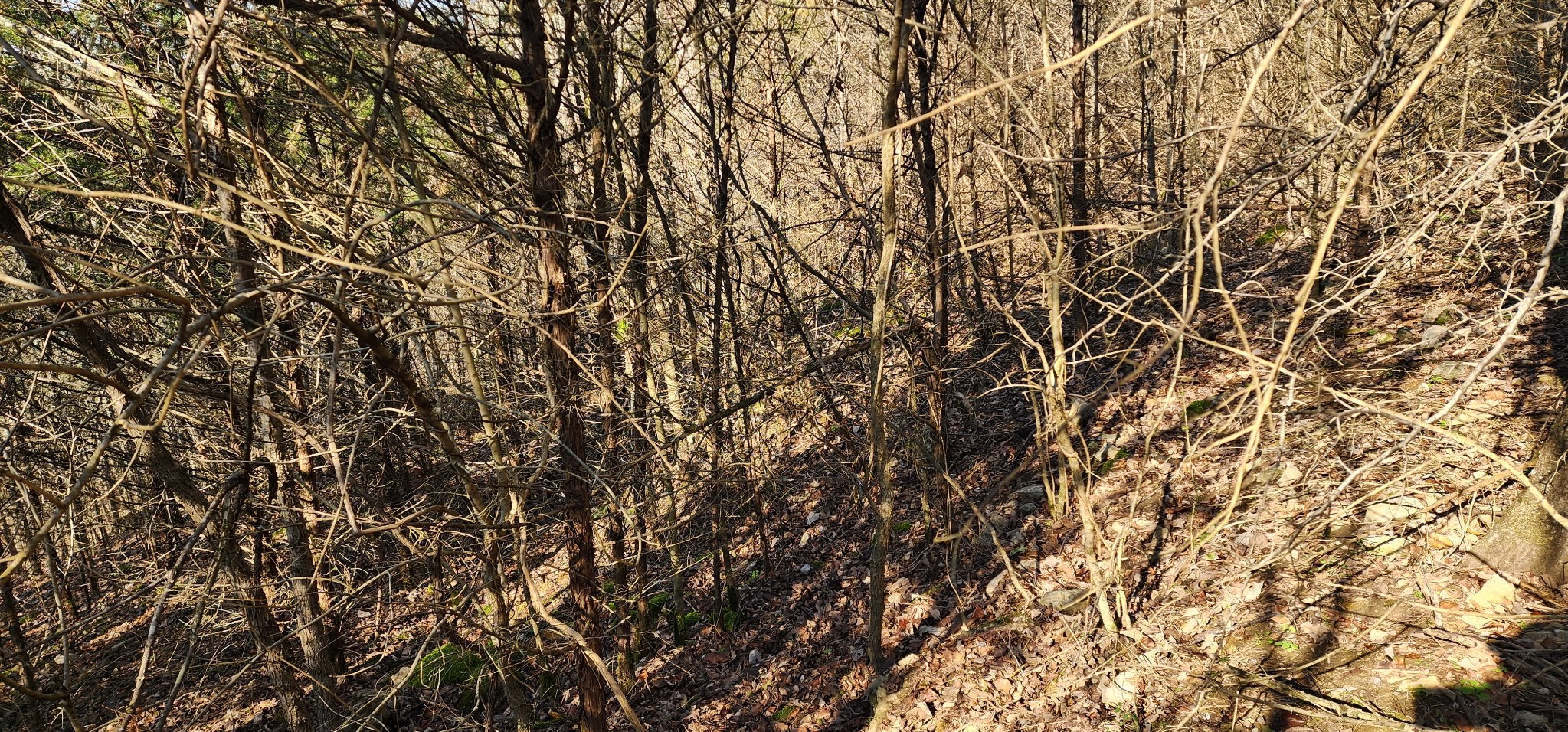 0 Center Hill Shores Dr