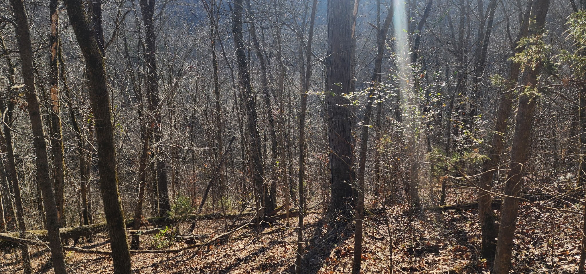 0 Center Hill Shores Dr