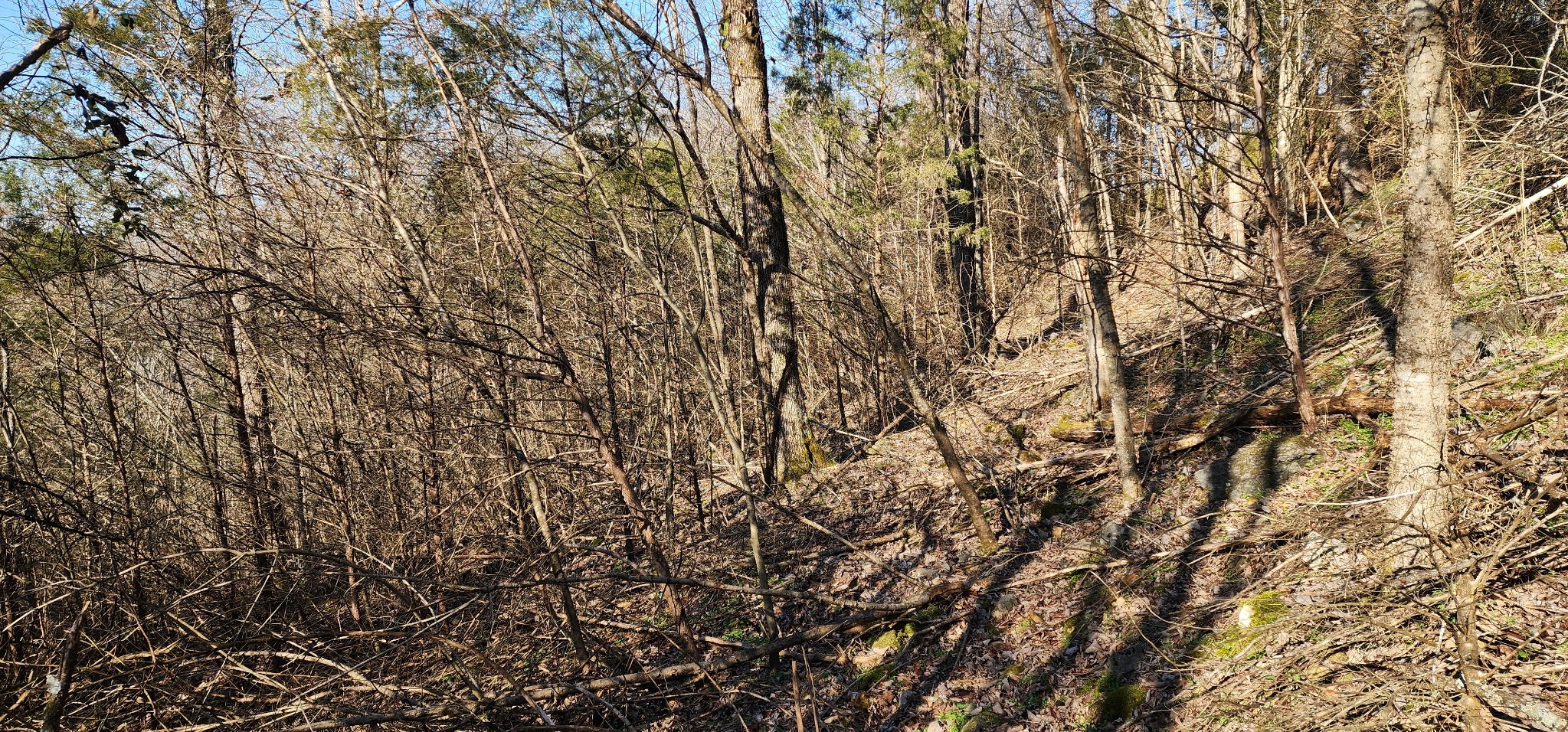 0 Center Hill Shores Dr