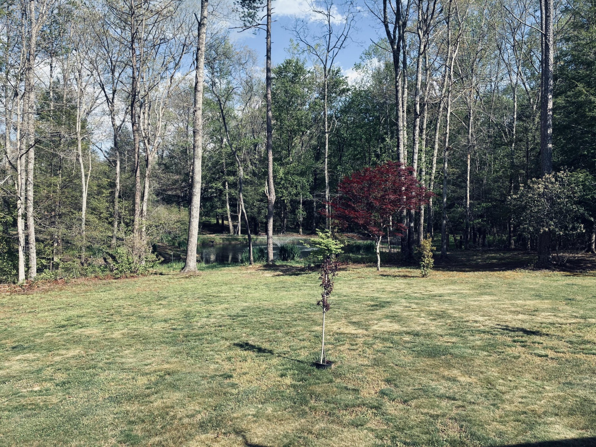 733 Gizzard Creek Road