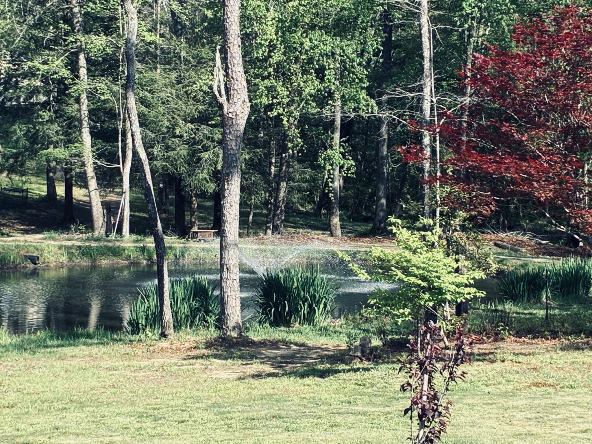 733 Gizzard Creek Road