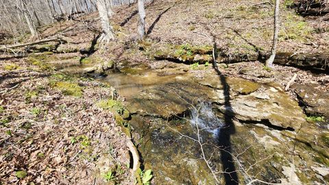 0 Allen Bend Rd Smithville TN 37166