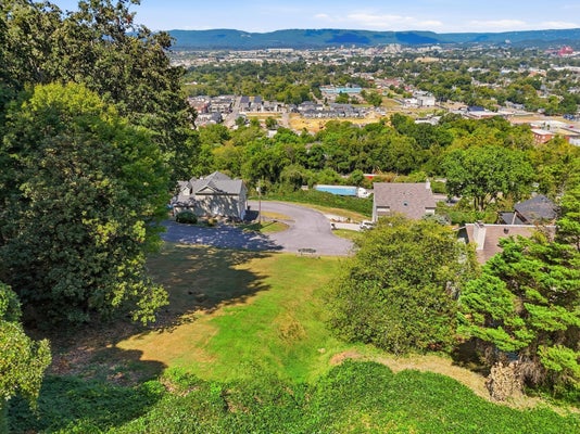 1720 S CREST MANOR LN, CHATTANOOGA, TN 37404 - Image aee4db8e833767dee1af5dea039617ff/2195578460
