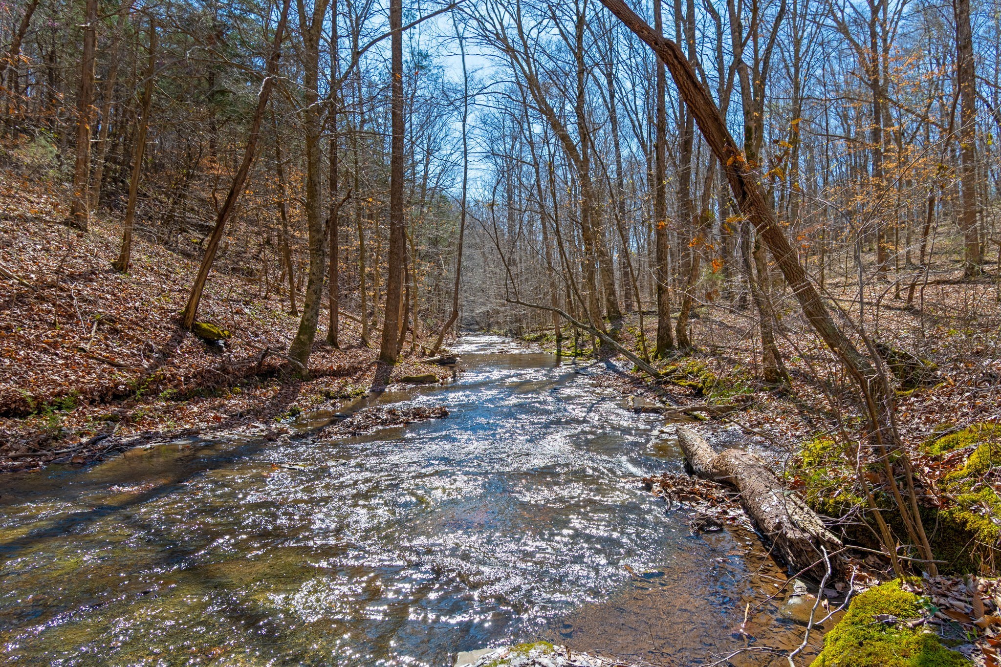 801 Collier Bend Road