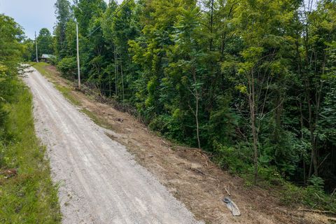 0 Bobcat LN Lot 55 W Wilder TN 38589