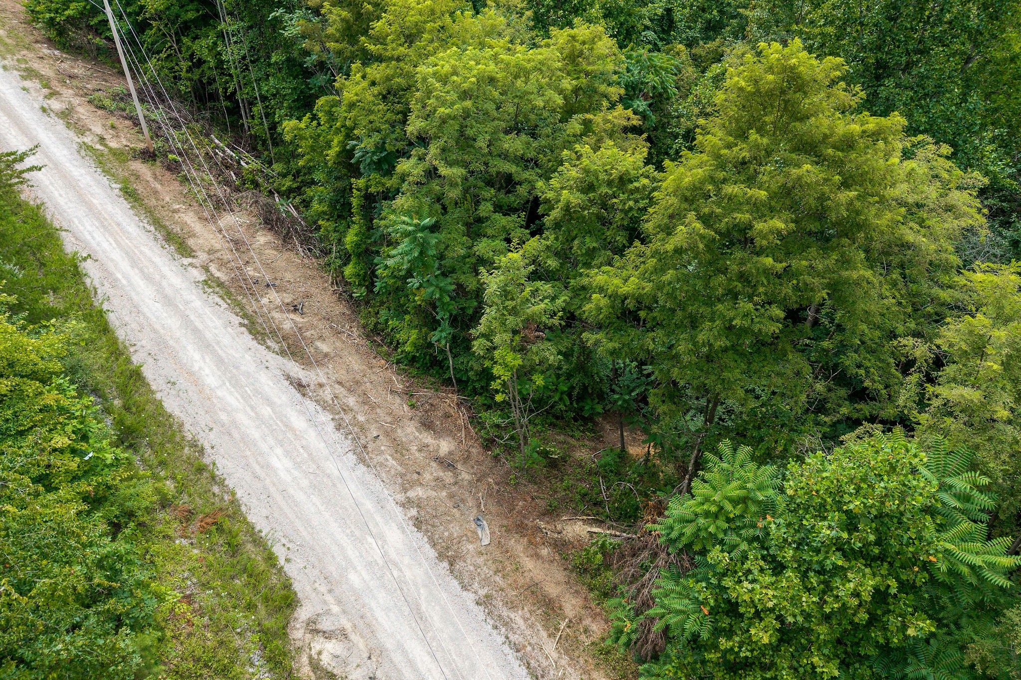 0 Bobcat LN Lot 55 W