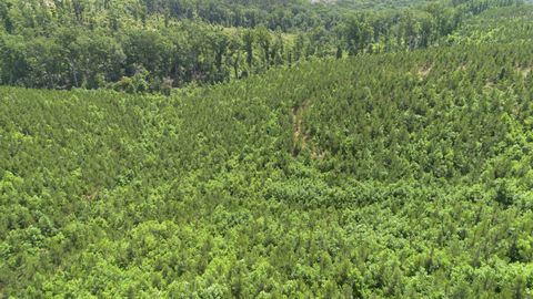 0 Low Gap Road Sugar Tree TN 38380