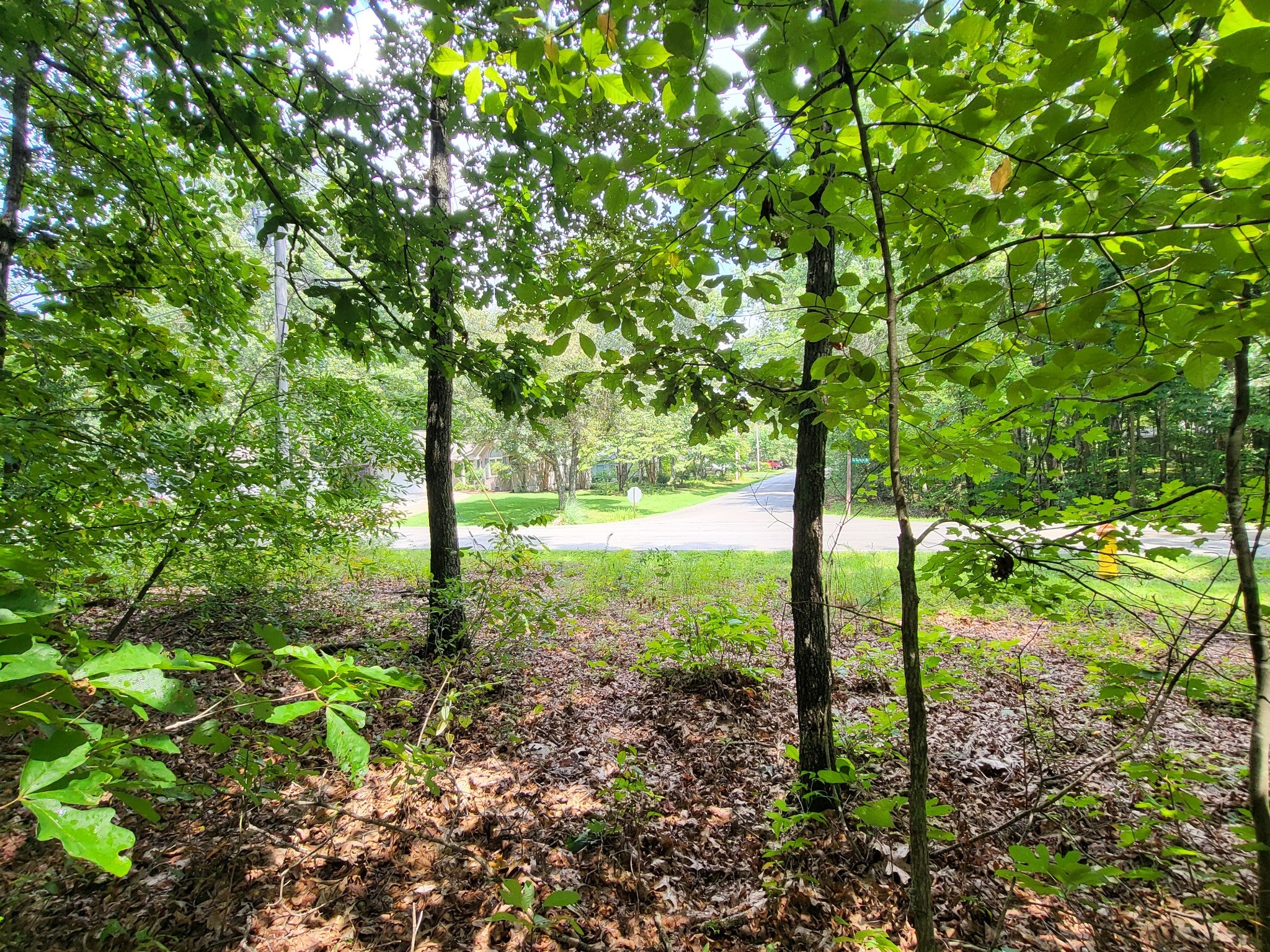 207 Saint George Dr - Photo 3