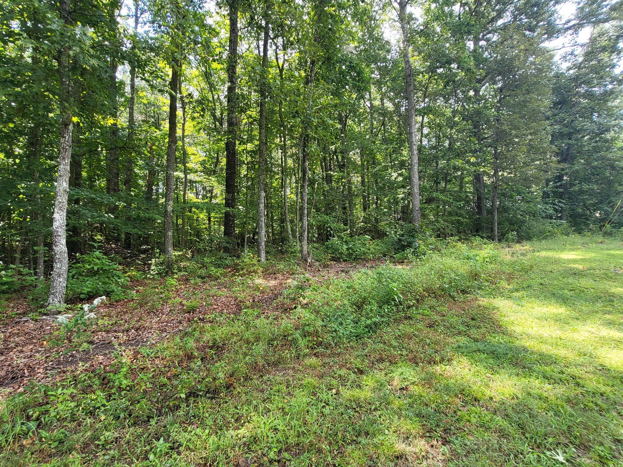 207 Saint George Dr