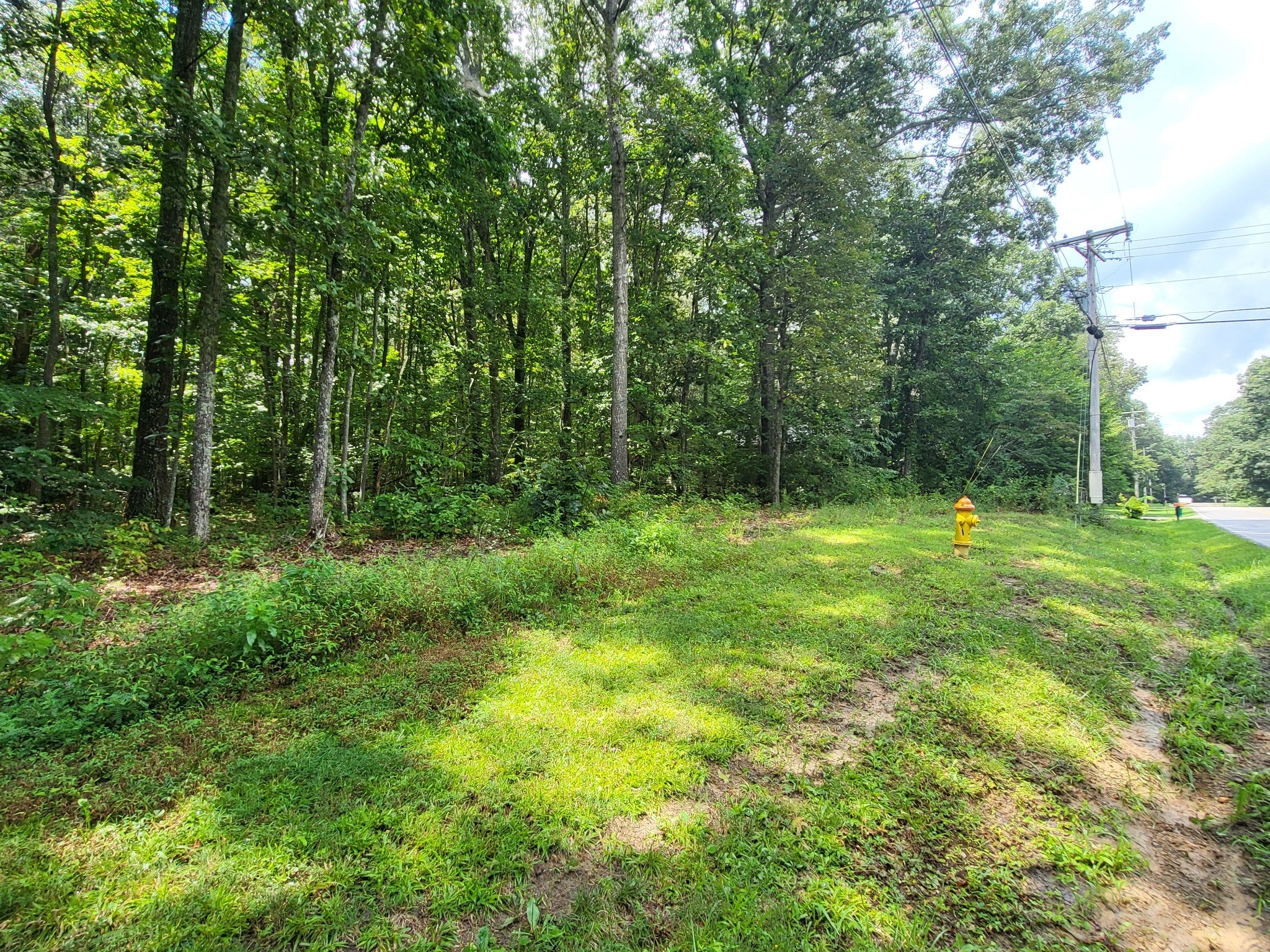 207 Saint George Dr - Photo 2