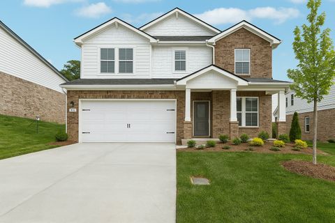 4617 Winslet Dr Smyrna TN 37167