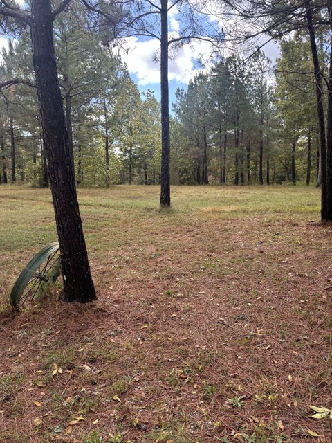 280 Baptist Branch Rd Mount Pleasant TN 38474