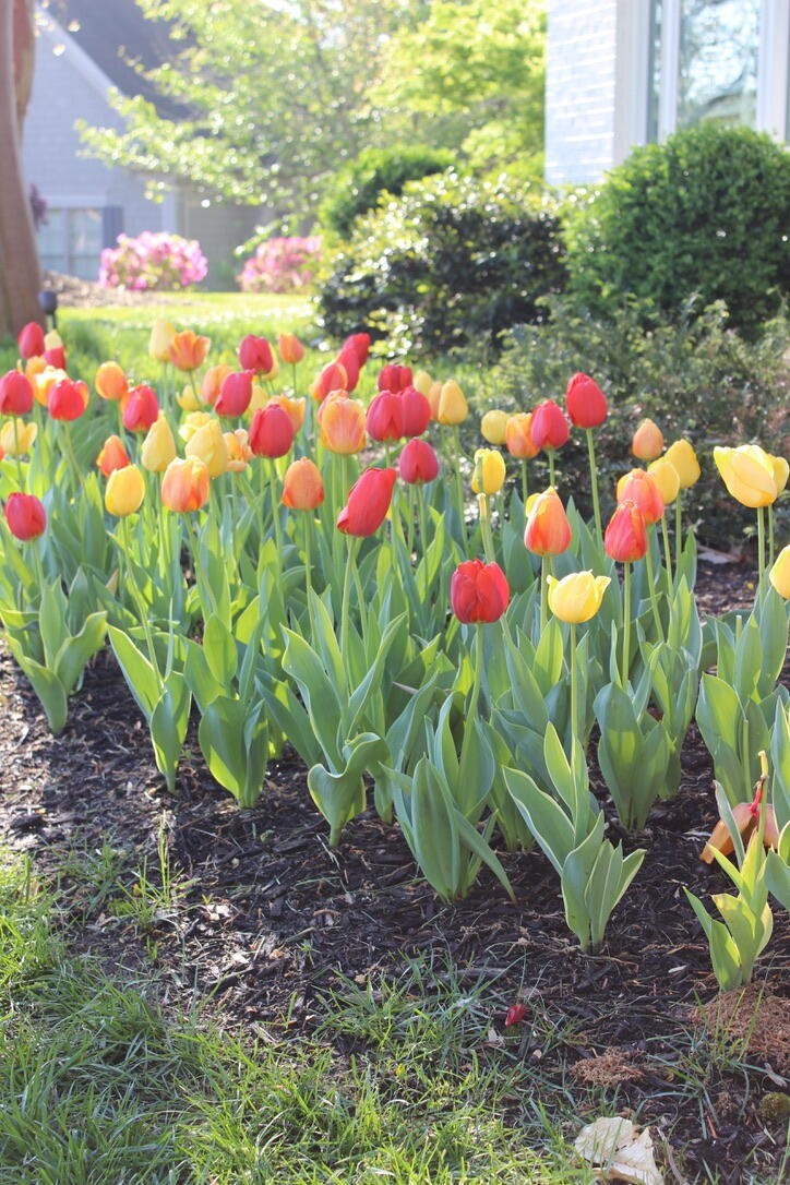 3000 Princeton Hill Drive NW