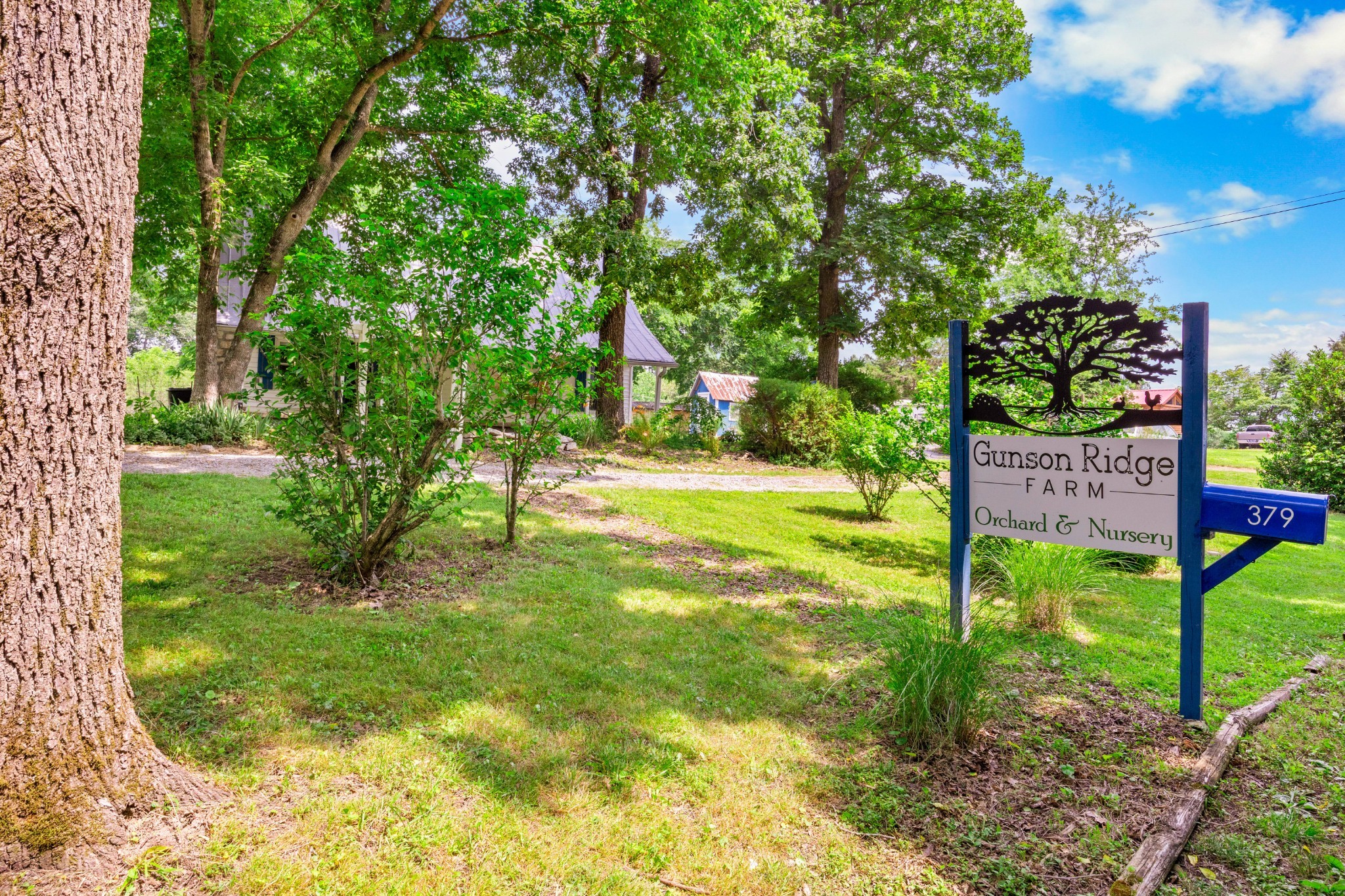 379 Gunson Ridge Rd