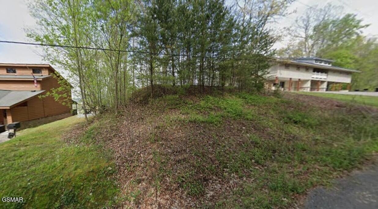 106107 Dollys Drive