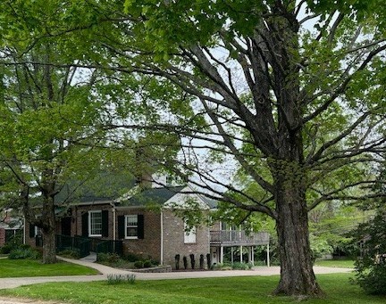 115 Maplemere Dr