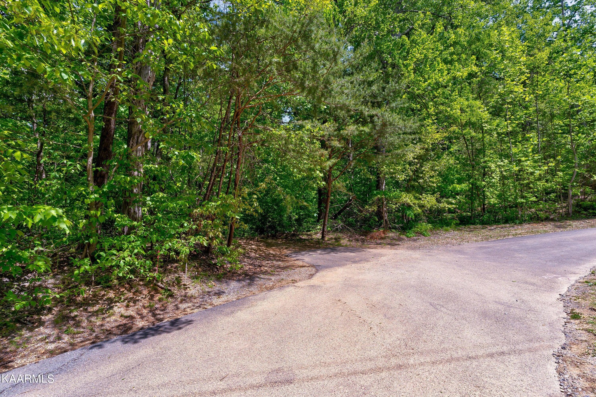 650 Silver Poplar Lane